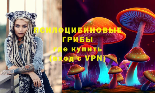 apvp Заволжье