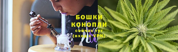 соль ск Елабуга