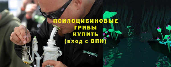 соль ск Елабуга