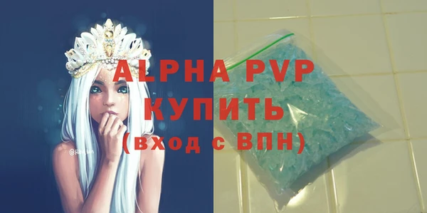 PSILOCYBIN Ельня