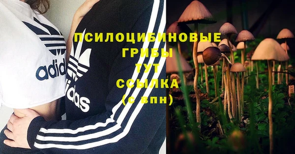 PSILOCYBIN Ельня