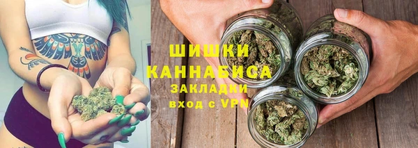 PSILOCYBIN Ельня