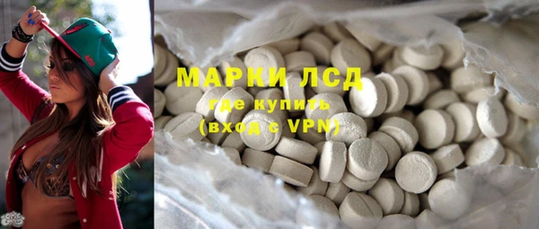 PSILOCYBIN Ельня